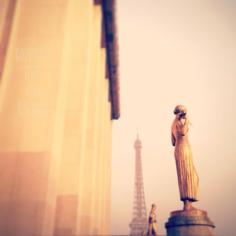 france photography 5x5 of the eiffel tower