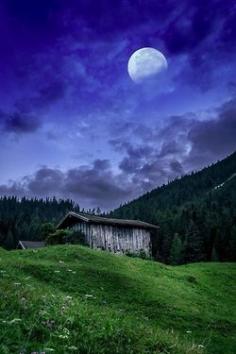 Mountain Cabin by petztobias