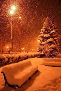 Snow in Tokyo, Japan.