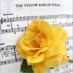 Yellow Rose of Texas - Canvas Art Designs