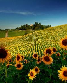 Tuscany