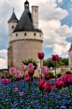 Castle & Tulips, Chateau de Chenonceau in Indre-et-Loire, France | La Beℓℓe ℳystère