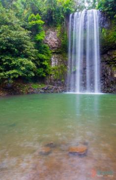 Millaa Millaa Falls, Atherton Tablelands, Queensland, Australia