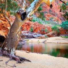 Ormiston Gorge in the West MacDonnell Ranges, Northern Territory, Australia.  By Jarrod Castaing / 500px