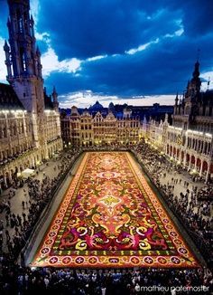 Carpet of Flowers | Brussels