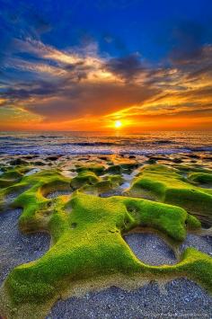 Emerald Green, Moss Covered Rocks, Jupiter Beach, During Sunrise, by Captain Kimo, on Flickr.