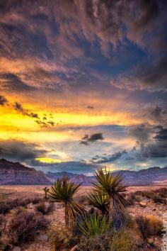 Atmospheric -Desert - Las Vegas - Nevada - USA