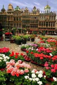 Brussels ~ Belgium