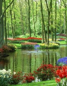 Keukenhof Gardens /// amazing World /// Tumblr.