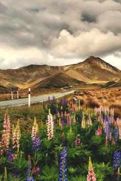 Lindis Pass, New Zealand | Aonlawon