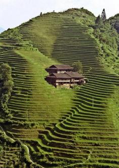 Longji Terrace, China ...