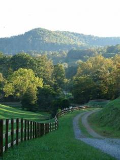 Kentucky surprised me with it's beauty my first visit. Most amazing rolling hills.