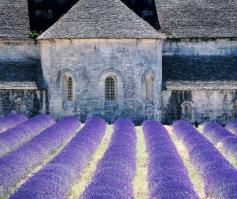 Most Pinned Travel Photos: Pedaling Through Provence