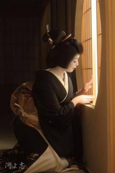 Geiko 芸妓