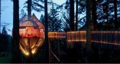 Redwoods Trehouse restaurant - New Zealand