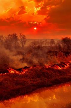 Bush Fire, Australia