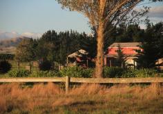 Martinborough, New Zealand #wine country