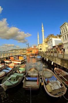 Great experience!  Would do it again - Bosphorus Cruise in Istanbul.