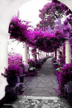 House of Axel Munthe, Capri, Italy