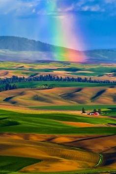 Rainbow Over The Palouse by Michael Brandt