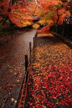 Fall in Nagaokakyo, Kyoto, Japan