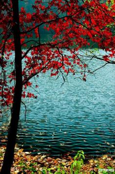 Taken beside the Stone Mountain | Atlanta | by eTips Travel Apps