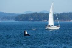 Orcas Island, Washington