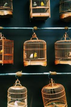 Hong Kong Bird Market