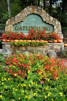 Gatlinburg! Such a fun place ♥