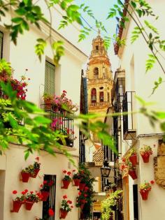 Córdoba, Andalucía, España