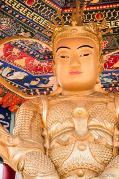 Golden Buddha at 10,000 Buddhas Monastery, Shatin, Hong Kong