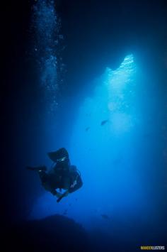 The overhangs and volcanic arches of the Poor Knights Islands are such fun to explore. Trained #cave divers can also traverse into the dark depths of the island via a series of underwater caves. Note cave diving is hazardous and should not be attempted by any diver who has not received the correct training.  Discovered by Wanderlusters at Poor Knights Islands Marine Reserve, #NewZealand