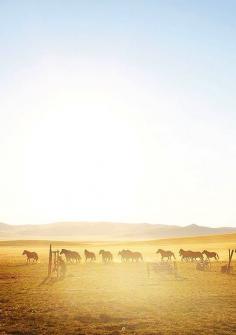 Photographer Brian Pineda never rode a horse in his life. So he decided to give it a try in Mongolia—for 18 days, five to eight hours a day.