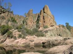 Pinnacles National Park California ~ Tall rocky spires rise up in the background against a brilliant blue sky.