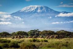 Twitter, Mt. Kilimanjaro by Ian Lenehan pic.twitter.com/ENESXhivUH