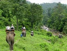 Elephant trek through Chiang Mai jungle