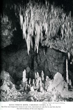 have you been to cave of the mounds in Wisconsin? close to House on the Rock and where we go camping every year--Gov Dodge. Look em all up! great get away