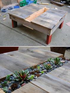 DIY: succulent table faroutflora.wordp...