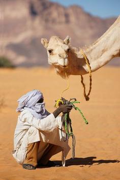 Bedouine with camel, Sahara Desert - Morocco.