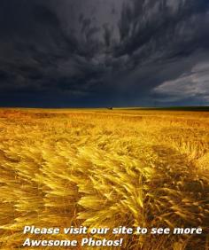 Garden City, Kansas - amazingplaces.club/