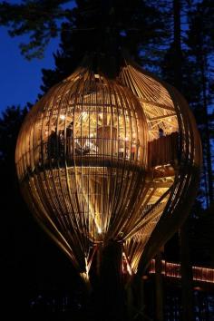 Tree Restaurant, Auckland, New Zealand