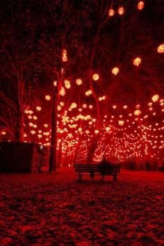 Lantern Festival, Lyon France