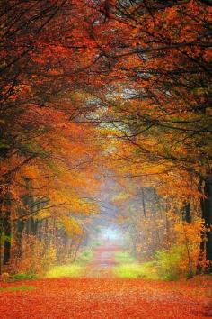 Walking down a Country Road.