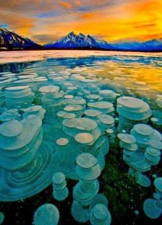 Abraham Lake - Alberta, Canada