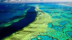 Dream come true! They say it is the Earth’s largest natural feature that is visible from space. The Great Barrier Reef is the World’s largest coral reef and attracts tourists in their thousands visit to marvel at the magnificent sightseeing opportunities that are uniquely offered by this area. ~ yourshot.national... Discovered by jenifferhomes at Great Barrier Reef, #Queensland, #Australia