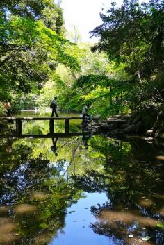 Garden at Tokyo University, Japan