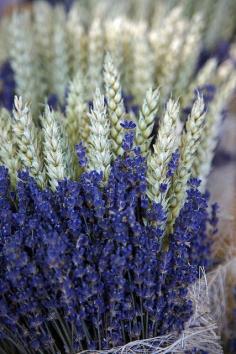 Lourmarin, Provence, France