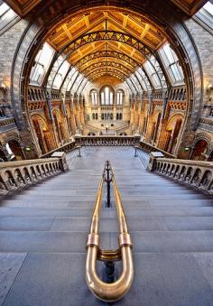 The Natural History Museum in London