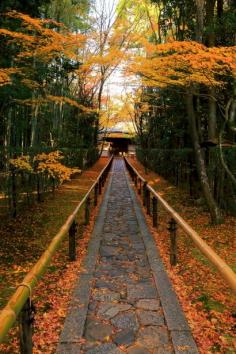 Autumn in Koto-in, sub-temple of Daitoku-ji, Kyoto, Japan