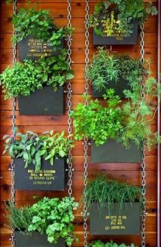 Vertical herb garden for the outdoors